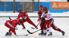 "Саяны-Хакасия" одержали победу в матче с гостями из Новосибирска