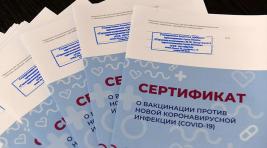 Медсестра в Красноярске подделала сертификат о прививке против COVID-19