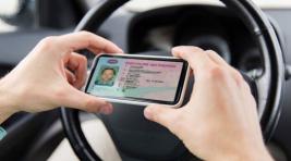 ГИБДД ожидает запуска цифрового водительского удостоверения до конца года