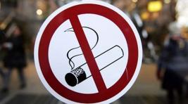 Курильщики и продавцы сигарет пополнили казну Хакасии на 170 000 рублей