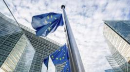 ЕС призвал Россию не блокировать активы Ariston и Bosh