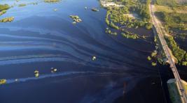 Река Обь признана самой грязной в России