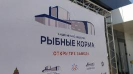 В Астраханской области запущен крупный завод по производству рыбьего корма
