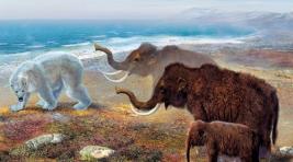 Выявлена причина гибели последних мамонтов на Земле
