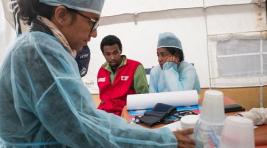 Внимание туристам: эпидемия чумы разразилась на Мадагаскаре
