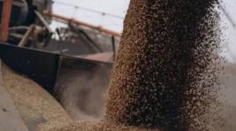 МИД РФ: Россия согласна продлить «зерновую сделку» при условии равноправного исполнения соглашения
