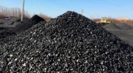 В Черногорске и Абакане оштрафовали торговцев углем за завышение цен