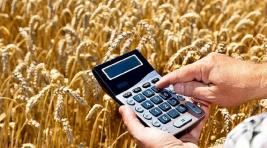 Больше 13 млн рублей дали фермерам и сельхозпредприятиям Хакасии