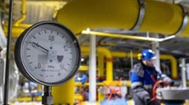 В Болгарии могут возобновить закупки российского газа