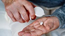 Нижегородские ученые собираются испытать «таблетку от старости»