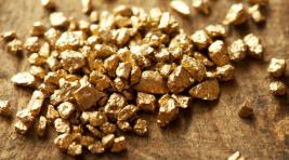 В Магаданской области ставят рекорды по добыче золота