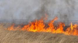 УГОЧС напоминает: Степные пожары могут угрожать населенным пунктам