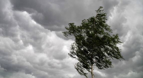 Погода в Хакасии 19 апреля: В республику врывается штормовой ветер