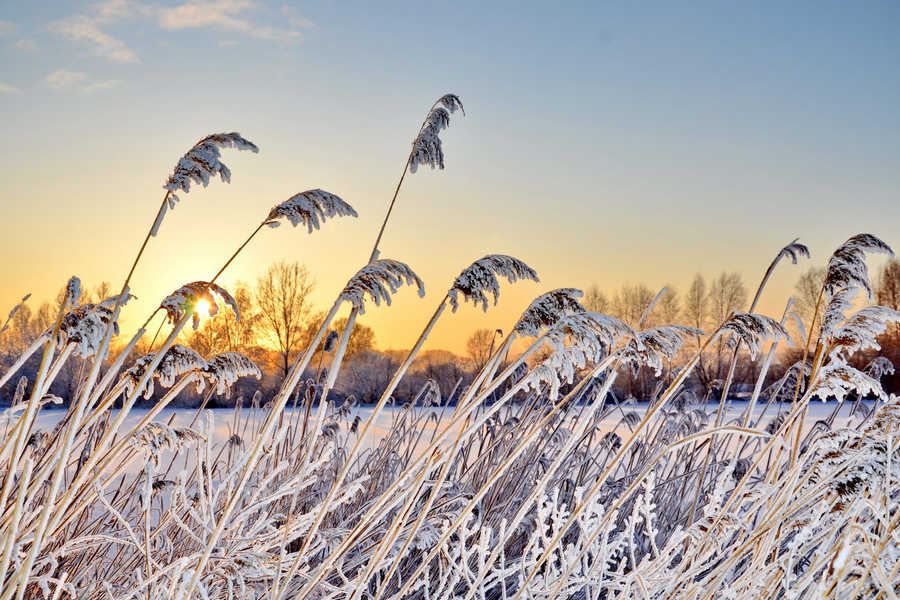 Погода в Хакасии 30 января: теплее не станет