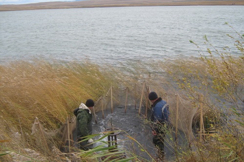 Озеро Подгорное в Хакасии вскоре станет раем для рыбаков республики