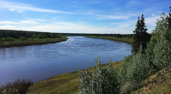 В Усинске введен режим ЧС из-за разлива нефтепродуктов в реке Колва