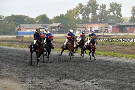 Спартакиада по конному спорту пройдет в Хакасии