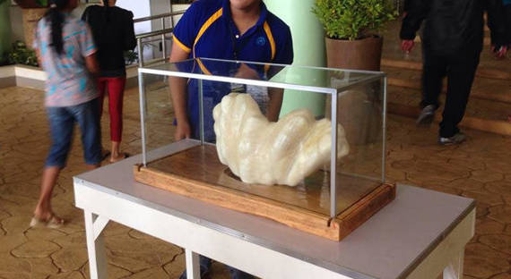 Филиппинский рыбак 10 лет хранил под кроватью бесценную жемчужину (ФОТО)