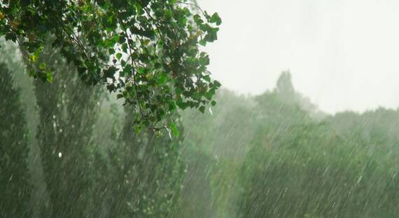 Погода в Хакасии 17 июля: Жара и дожди