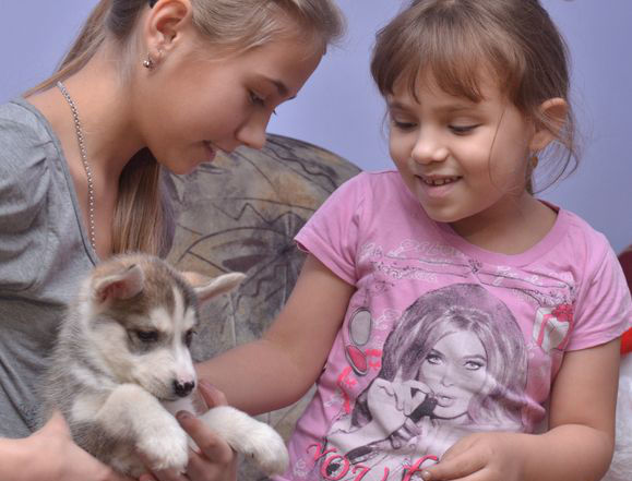 Путин подарил школьнице из Хакасии щенка хаски