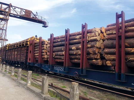 В России могут ограничить экспорт круглого леса. Хакасии это навредит…