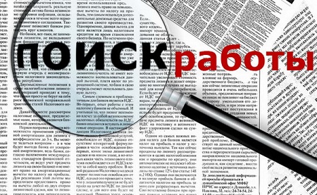 Найти работу станет проще: запущен портал "Работа в России"