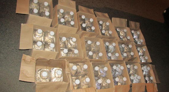 Абаканская полиция изъяла у жителя Минусинска 350 литров «антисептика»