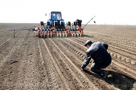 Аграриям Хакасии начали выплачивать деньги на растениеводство