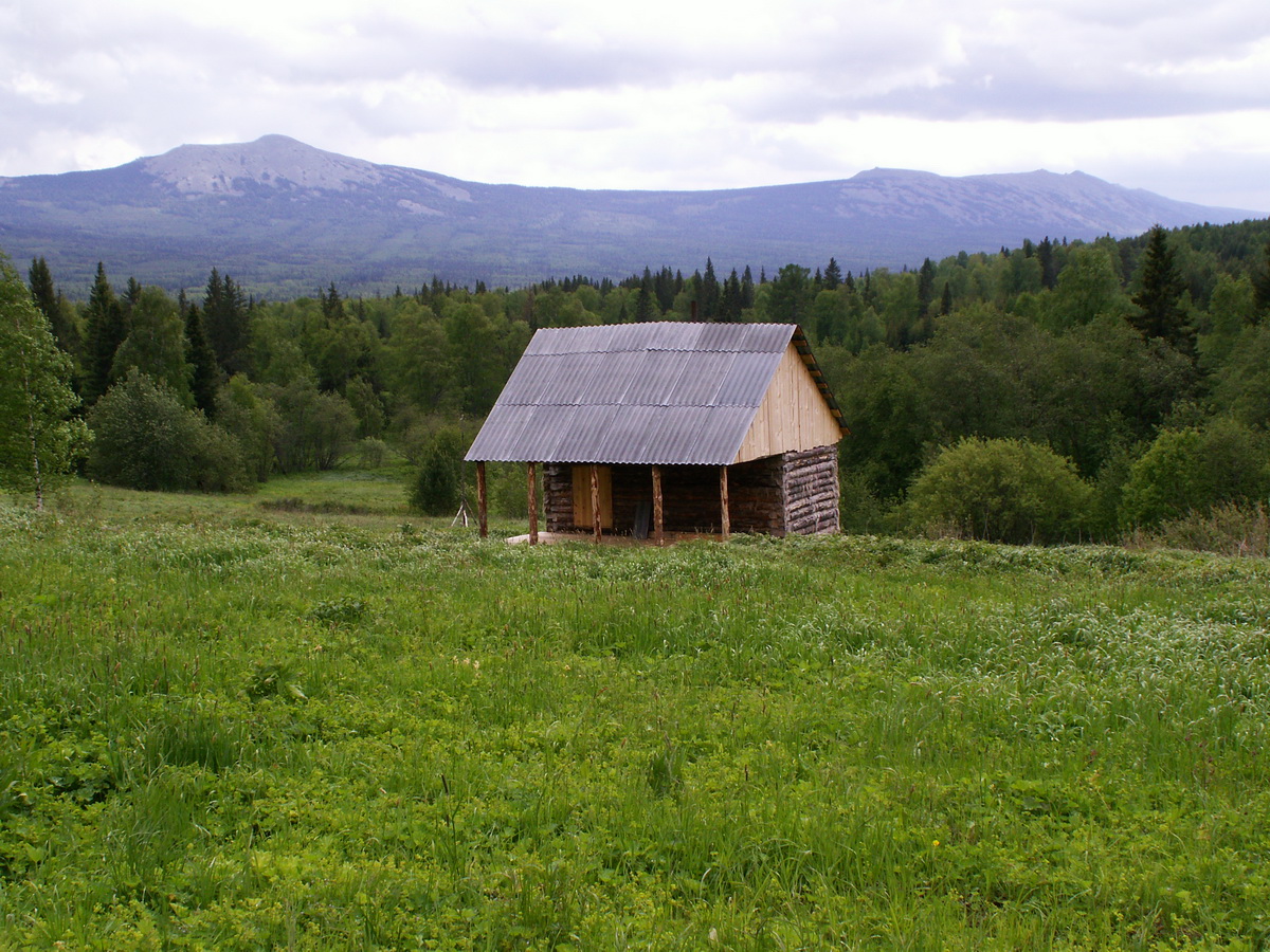 Черногорец не смог купить лесничий домик в хакасской деревне из-за забытой маски