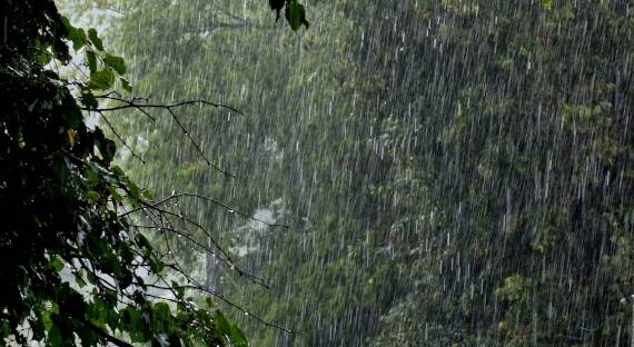 Погода в Хакасии 18 июля: Дождливо весь день