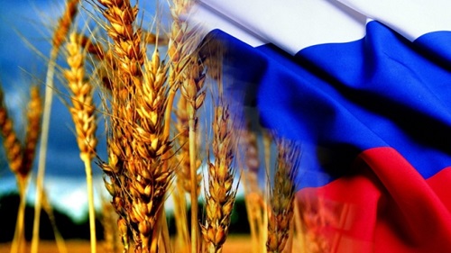 Россия договорилась с Китаем о продаже ему пшеницы