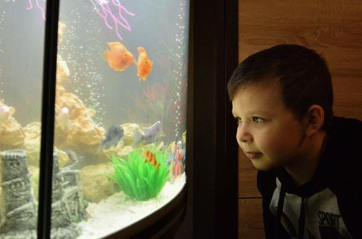 Путин подарил ростовскому школьнику аквариум