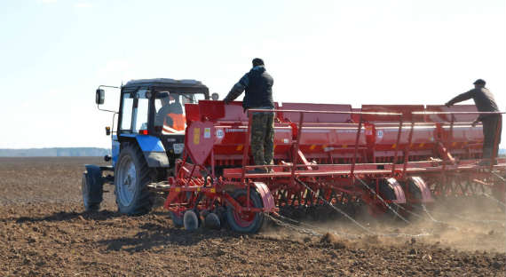Сельское хозяйство Хакасии получит 200 миллионов рублей на посевную
