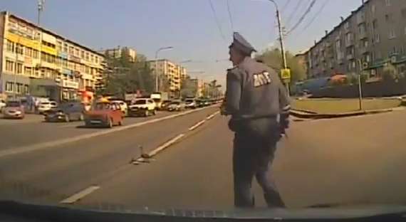 В Красноярске инспектор ГИБДД перевел уток через дорогу