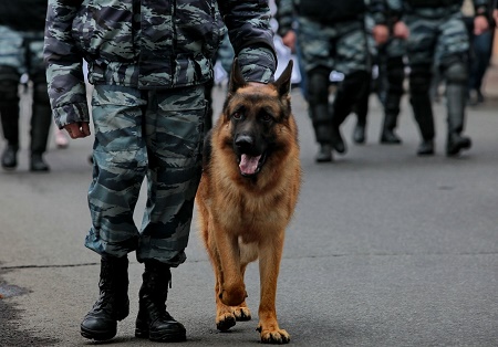 В Черногорске полицейские ликвидировали наркопритон