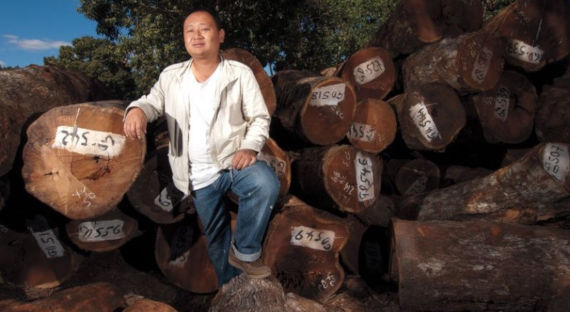 В России может быть ограничен экспорт древесины в Китай