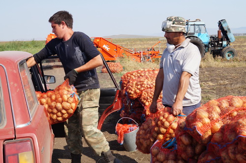 Погорельцы Хакасии начали получать гуманитарный урожай