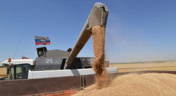 Россия поставила за рубеж более 55 миллионов тонн пшеницы