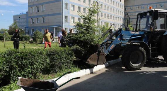 В Саяногорске металлурги высадили почти 90 новых деревьев