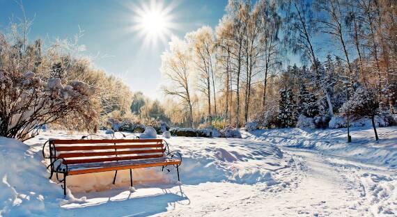 Погода в Хакасии 16 февраля: Солнечный день