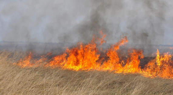 УГОЧС напоминает: Степные пожары могут угрожать населенным пунктам
