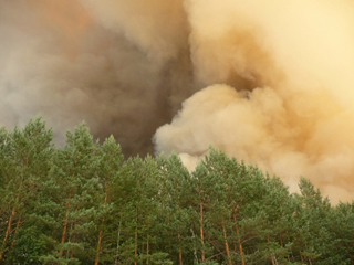  В России обсуждают итоги пожароопасного сезона