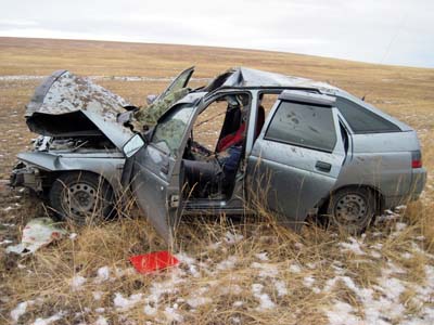 В Хакасии водитель, сбивший на трассе лошадь, погиб на месте