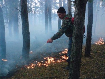 Госкомлес Хакасии начал подготовку к пожароопасному сезону