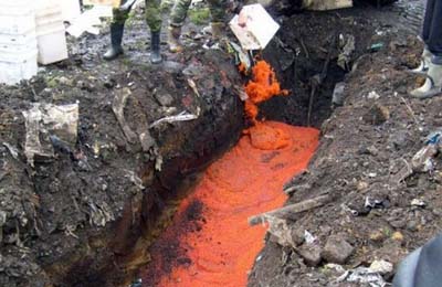 Девять тонн контрафактной красной икры уничтожено на Камчатке