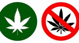 В Германии намерены легализовать марихуану