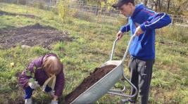 В Саяногорске появляются сады и аллеи на гранты РУСАЛа