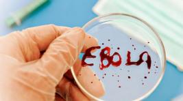 Россия испытает вакцину против Эболы в гвинейском госпитале РУСАЛа