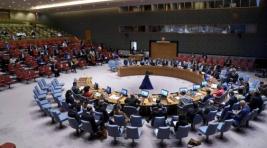 СБ ООН отказался принять резолюцию РФ по санкциям против Мали