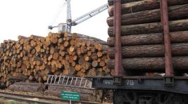 Из Хакасии стали все больше вывозить лес на экспорт